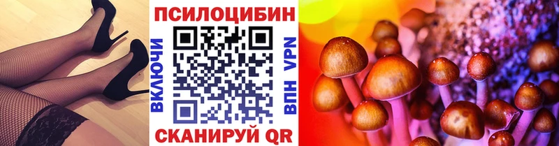 как найти закладки  Медынь  Галлюциногенные грибы Psilocybe 